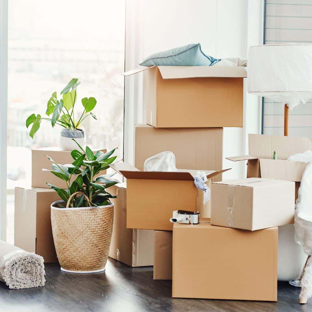 A pile of moving boxes.