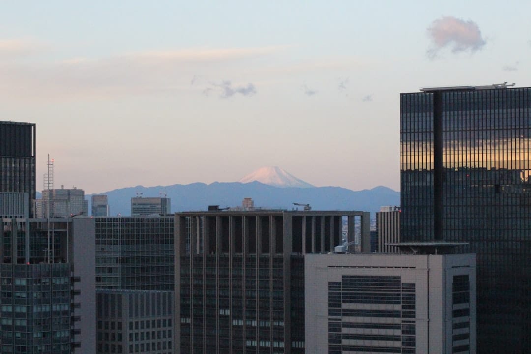 Denver city skyline with moving boxes