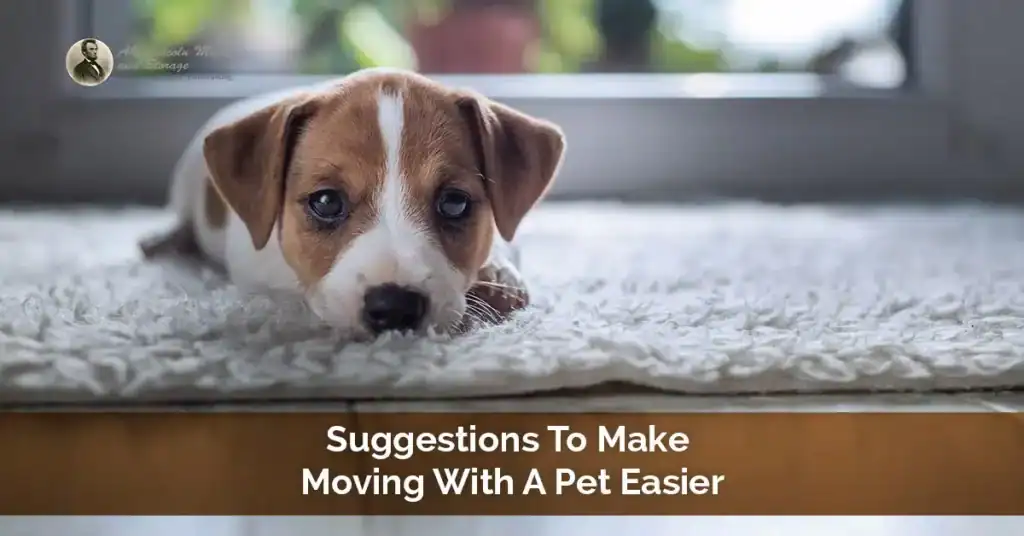The Complete Checklist To Make Moving With A Pet Easier