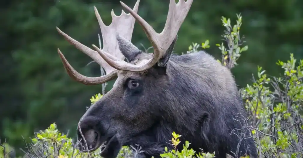 Colorado’s Best Attractions