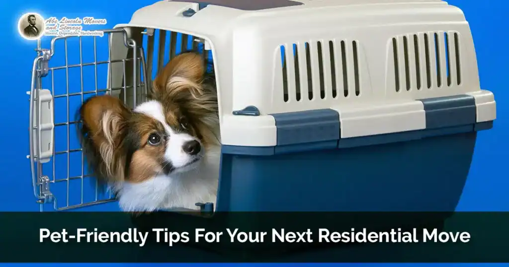 Pet Friendly Tips For Your Next Residential Move