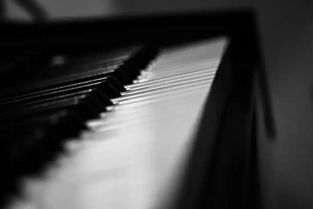 Pianos, Hot Tubs & Gun Safes: How Denver Specialty Movers Prevent Disaster Moves