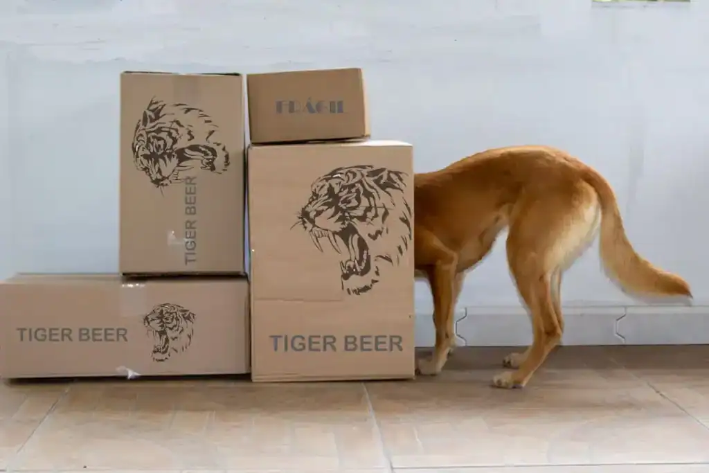 Hire a professional mover for your next Denver move