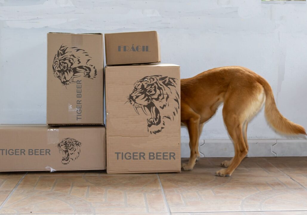 Professional movers handling moving boxes